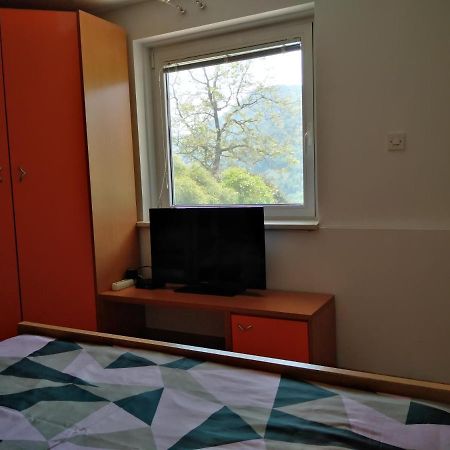 Apartment Zadraga Tolmin Exterior photo